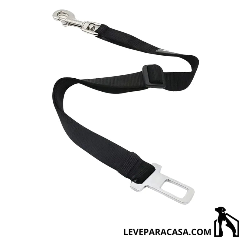 DogCareBelt - Leve para Casa