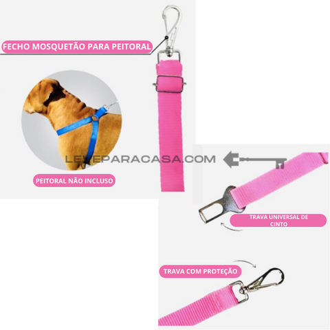 DogCareBelt - Leve para Casa