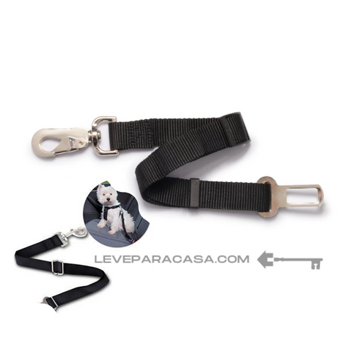 DogCareBelt - Leve para Casa