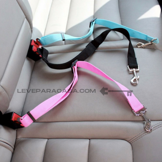 DogCareBelt - Leve para Casa